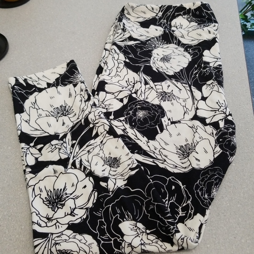 (NWOT) Lularoe TC2 Leggins